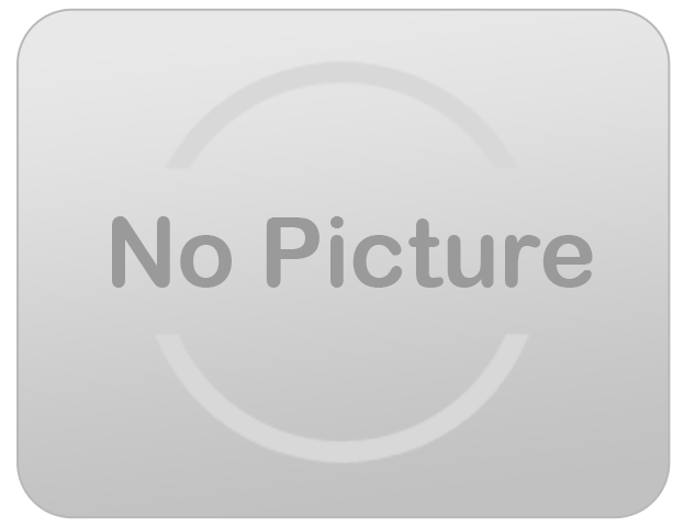 /35ft-party-dual-lane-slip-n-slide-with-pool/